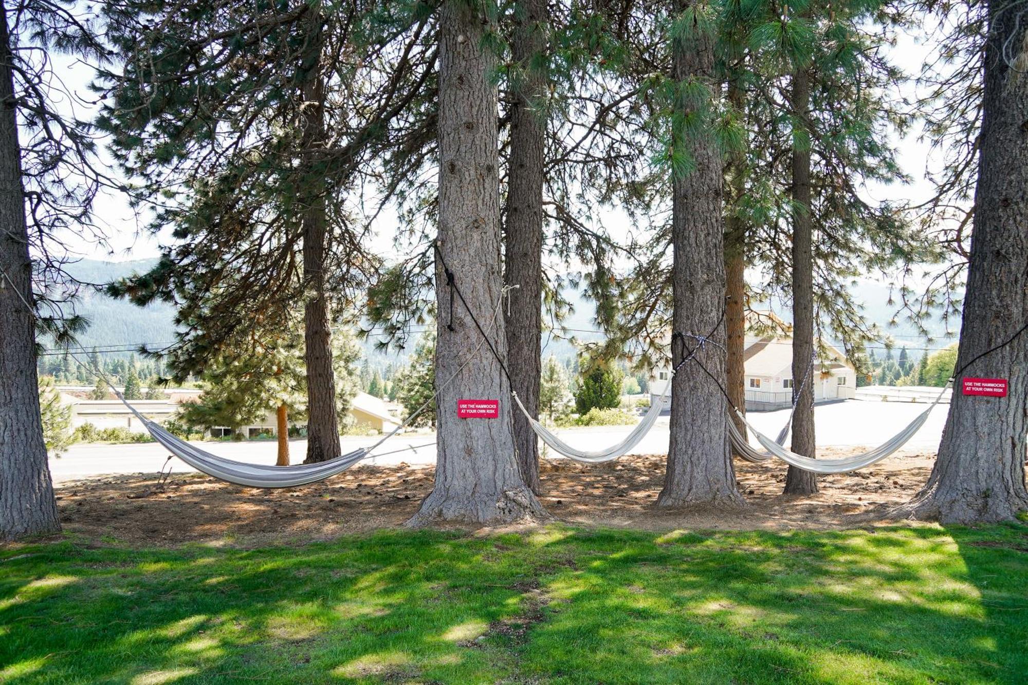Swiss Holiday Lodge Mount Shasta Exterior foto